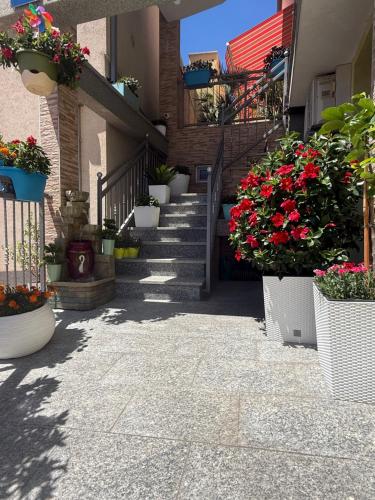 Apartmani Soldan