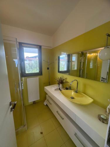 a bathroom with a sink and a mirror and a shower at Coastal Pool Hideaway in Loukísia