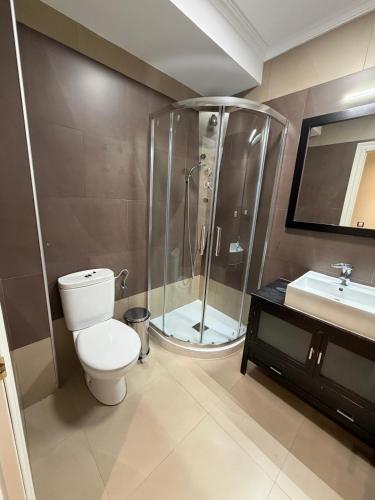 a bathroom with a shower and a toilet and a sink at Ale Benavites in Ávila