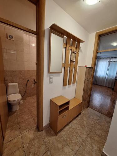 a bathroom with a toilet and a sink and a mirror at Stan Foča in Foča