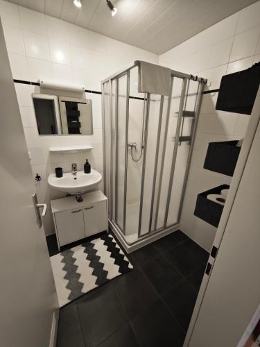 a bathroom with a shower and a sink at Monica Donau in Passau