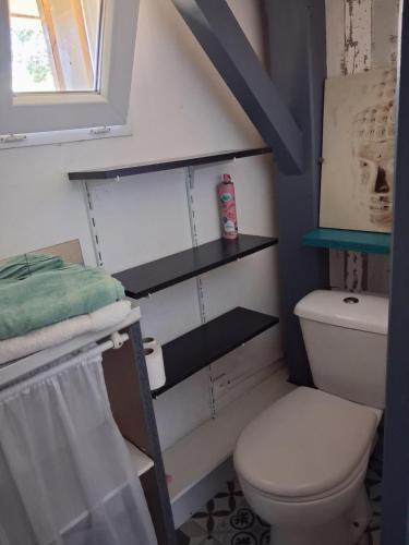 a small bathroom with a toilet and a window at Maisonnette mitoyenne andernos in Andernos-les-Bains