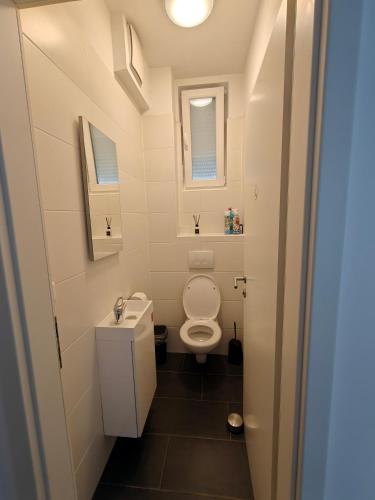 a small bathroom with a toilet and a sink at Antonio Appartement in Steinabrückl