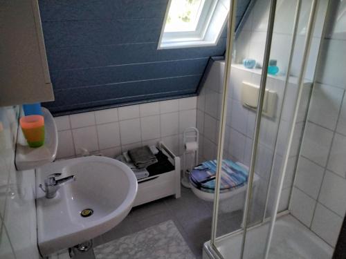 a bathroom with a shower and a sink and a toilet at Eneri in Südbrookmerland