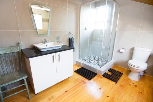 uma casa de banho com um chuveiro, um lavatório e um WC. em Four Seasons Guesthouse em Groot Brak Rivier