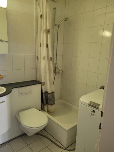 1 Flat-Room Bern