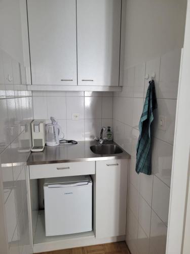 a small kitchen with a sink and a dishwasher at 1 Flat-Room Bern in Bern