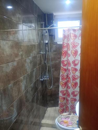 a bathroom with a shower curtain and a toilet at Rallis village in Akrata