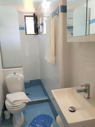 a bathroom with a toilet and a sink at Ioannis Foteinos Studios in Lygia