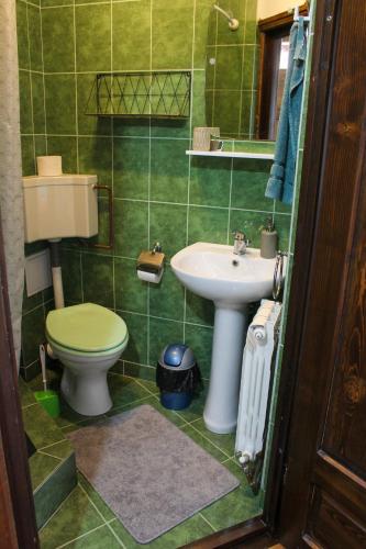 a green bathroom with a toilet and a sink at Casa Kővár Vendégház in Rimetea
