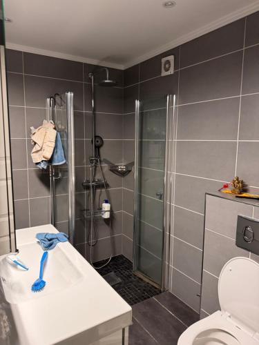 a bathroom with a shower and a toilet at 柠檬树 in Gystad