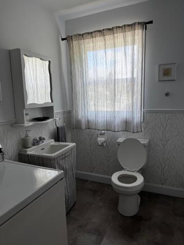 a bathroom with a toilet and a sink and a window at Le Petit Saint-Joseph in Saint-Alexis-des-Monts