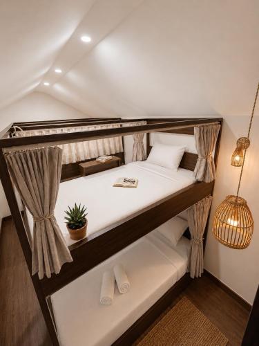 a room with two bunk beds with a potted plant at Miu Homestay Hue in Thôn Lại Thê