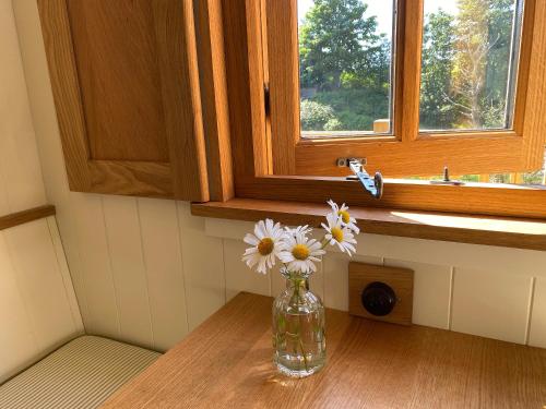 a vase of flowers sitting on a table under a window at Corran Shepherds Hut in Corran