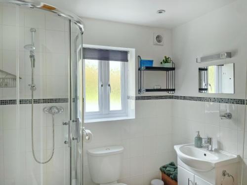 a bathroom with a shower and a toilet and a sink at Bwthyn Bwlch in Denbigh