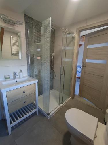 a bathroom with a shower and a toilet and a sink at Pokoje u Stasi in Stegna