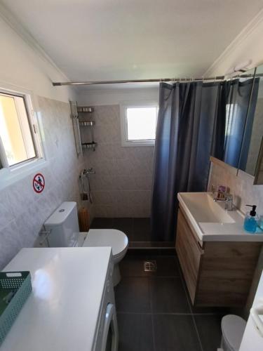 a bathroom with a toilet and a sink and a shower at ainos cottage in Kambitsáta