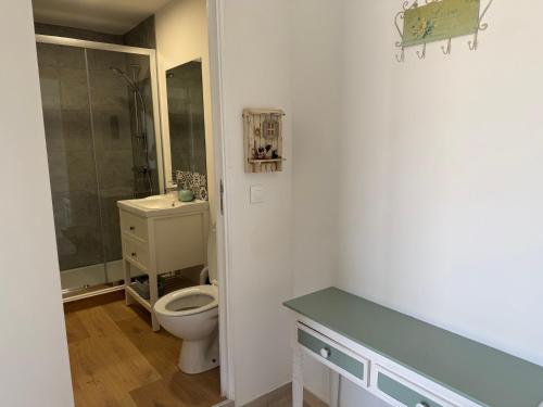 a bathroom with a toilet and a sink and a shower at Orchid Cottage in Gorges