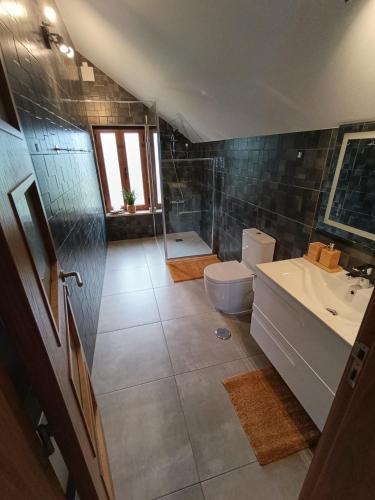 a bathroom with a toilet and a sink and a shower at Paradiesli in Castelo de Penalva