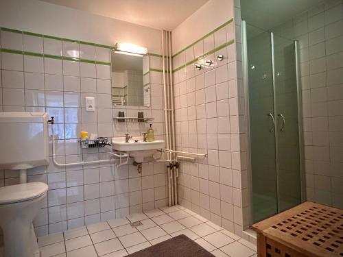 a bathroom with a shower and a sink and a toilet at Notre-Dame d'Escouloubre Sources d'eaux chaudes privées et sauna in Escouloubre