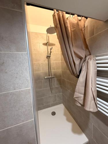 a bathroom with a shower with a shower curtain at L instant dore spa privatif in Cavaillon