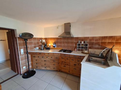 a kitchen with a sink and a stove at Milla Sky in Varaždinske Toplice