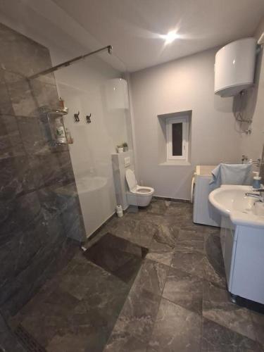 a bathroom with a shower and a toilet and a sink at Kuća za odmor Belvedere in Siverić