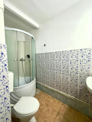 a bathroom with a toilet and a sink at Pensiunea Pitaru in Calafat