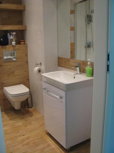 a bathroom with a sink and a toilet at Blue Mare Apartament u Kwiatków in Łukęcin