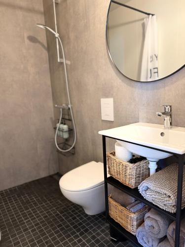 a bathroom with a sink and a toilet and a mirror at Granastaðir Guesthouse in Granastaðir