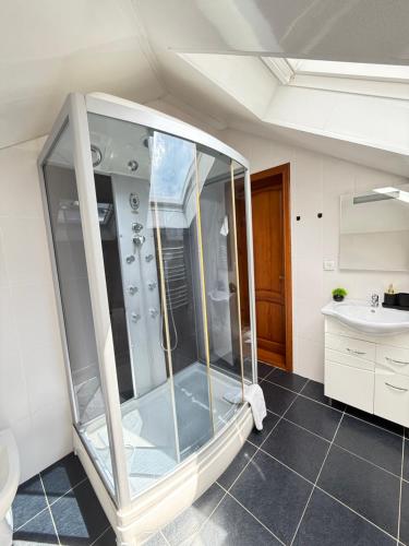 a glass shower in a bathroom with a sink at КАТАМАН ХАУС - басейн з підігрівом in Slavske