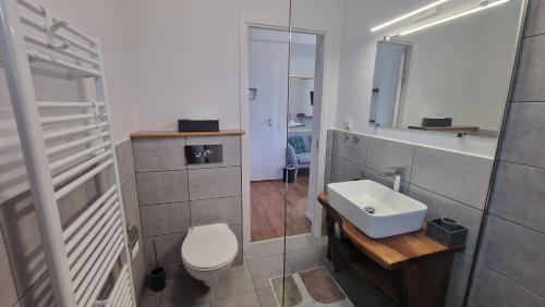 a bathroom with a white toilet and a sink at Casa Comilor in Şurdeşti