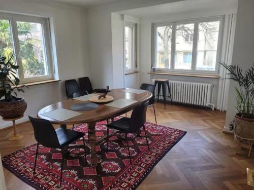 Bright, large apartment close to SBB with garage