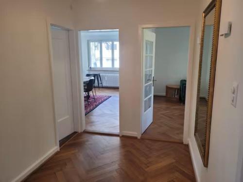 Bright, large apartment close to SBB with garage
