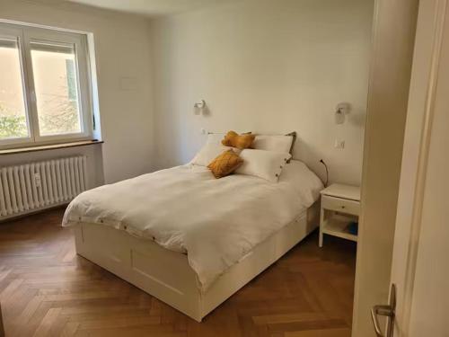 Bright, large apartment close to SBB with garage