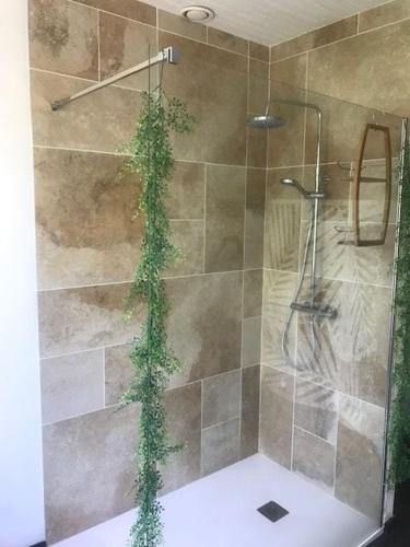 a bathroom with a shower with a plant growing on it at L'Abeille-Vie in Tréziers