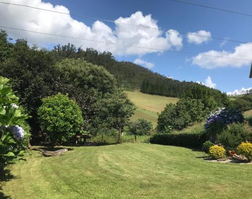 a grassy yard with trees and a hill in the background at La Casa del Castaño in Vegadeo