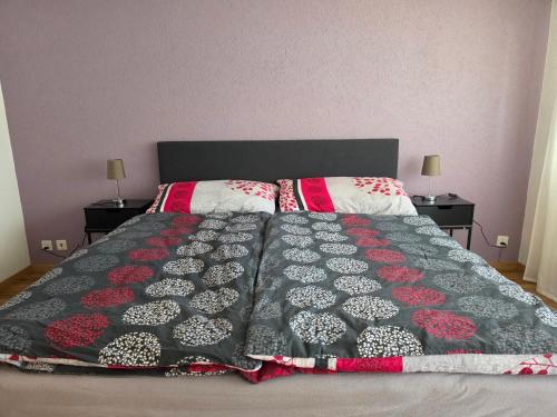 Diana 1 appartement spacieux 5 pièces