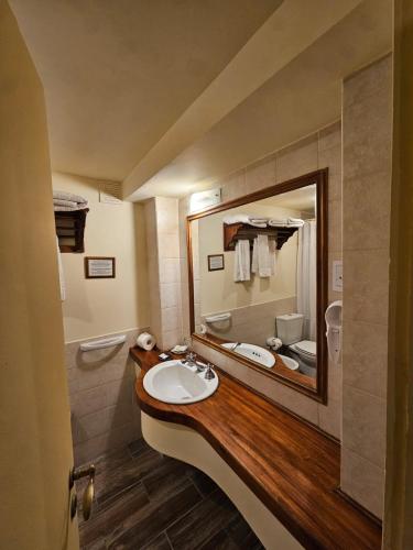 a bathroom with a sink and a large mirror at Rosa De Los Vientos in Ushuaia