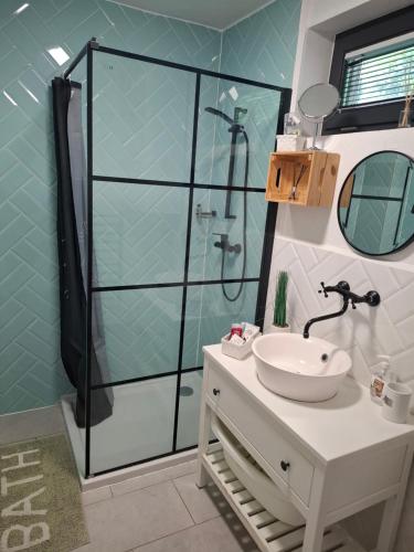 a bathroom with a sink and a glass shower at Őrségi Csónakház in Hegyhátszentjakab