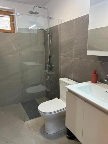 a bathroom with a toilet and a shower and a sink at Linos Old Barn in Theológos