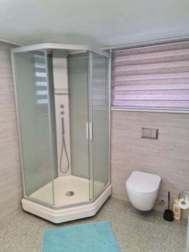 ein Badezimmer mit Dusche und Toilette in der Unterkunft Sand in Sand