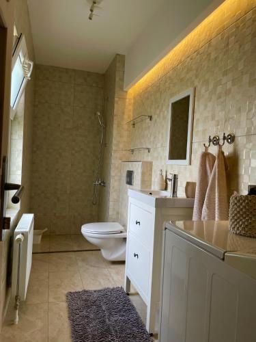 a bathroom with a toilet and a sink and a shower at Vila Bilja in Požega