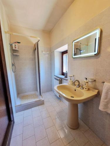 a bathroom with a sink and a shower at La Roccia Rossa in Stribugliano