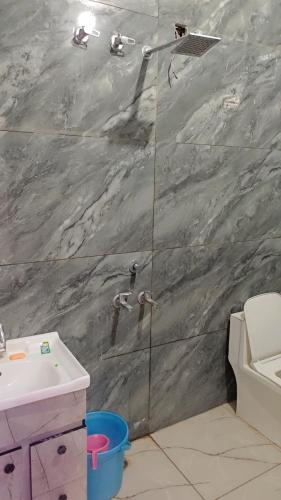 a bathroom with a shower and a sink at Everspring Suites in Rohtak