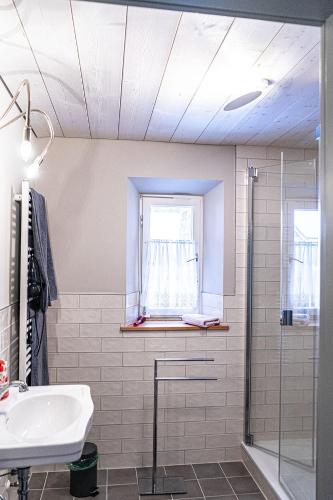 a bathroom with a sink and a shower at Säntisblick in Oberstaufen
