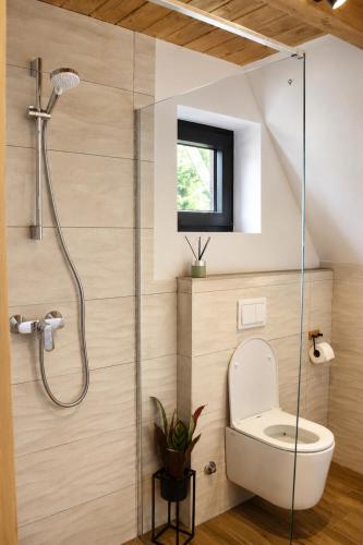 a bathroom with a shower with a toilet and a window at Trebižat Oasis in Čapljina
