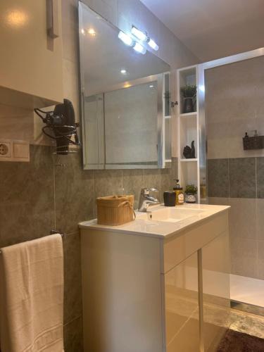 a bathroom with a sink and a mirror and a shower at Vivienda Turística Lorena in Cascante