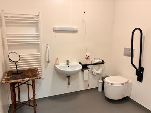 a bathroom with a sink and a toilet at Mabel the Steam Roller Caravan at Rosuick Organic Farm in Saint Martins Green