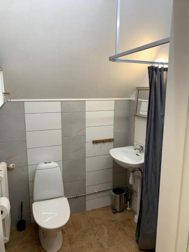 a bathroom with a toilet and a sink at Lilla Skolhuset i Ingelsträde in Höganäs